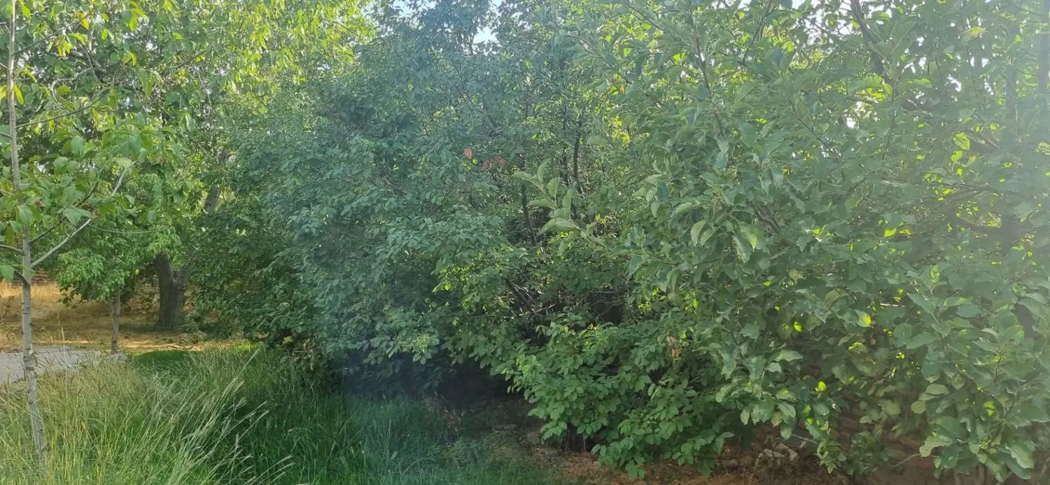 فروش خونه باغ در بهشت زیبا دهبکری