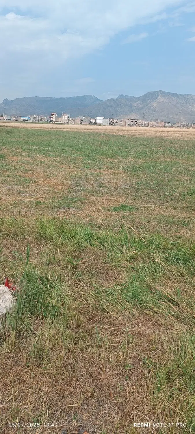 زمین کشاورزی در کشمش تپه طرف آبیاری
