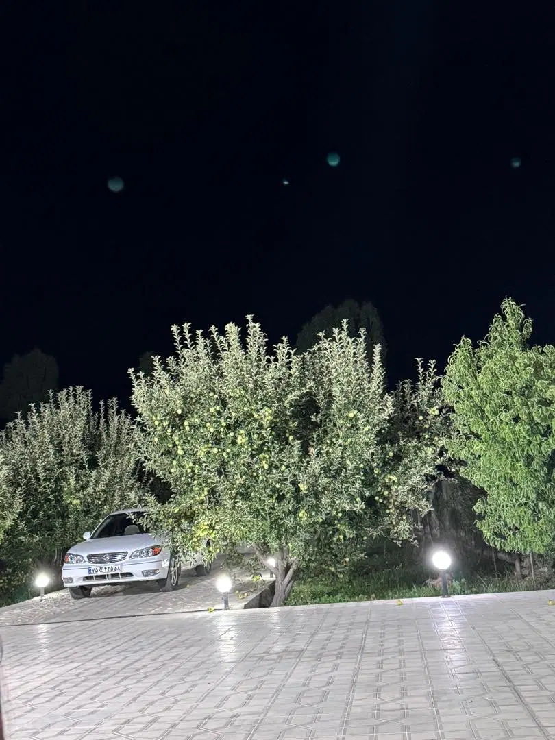 خونه باغ