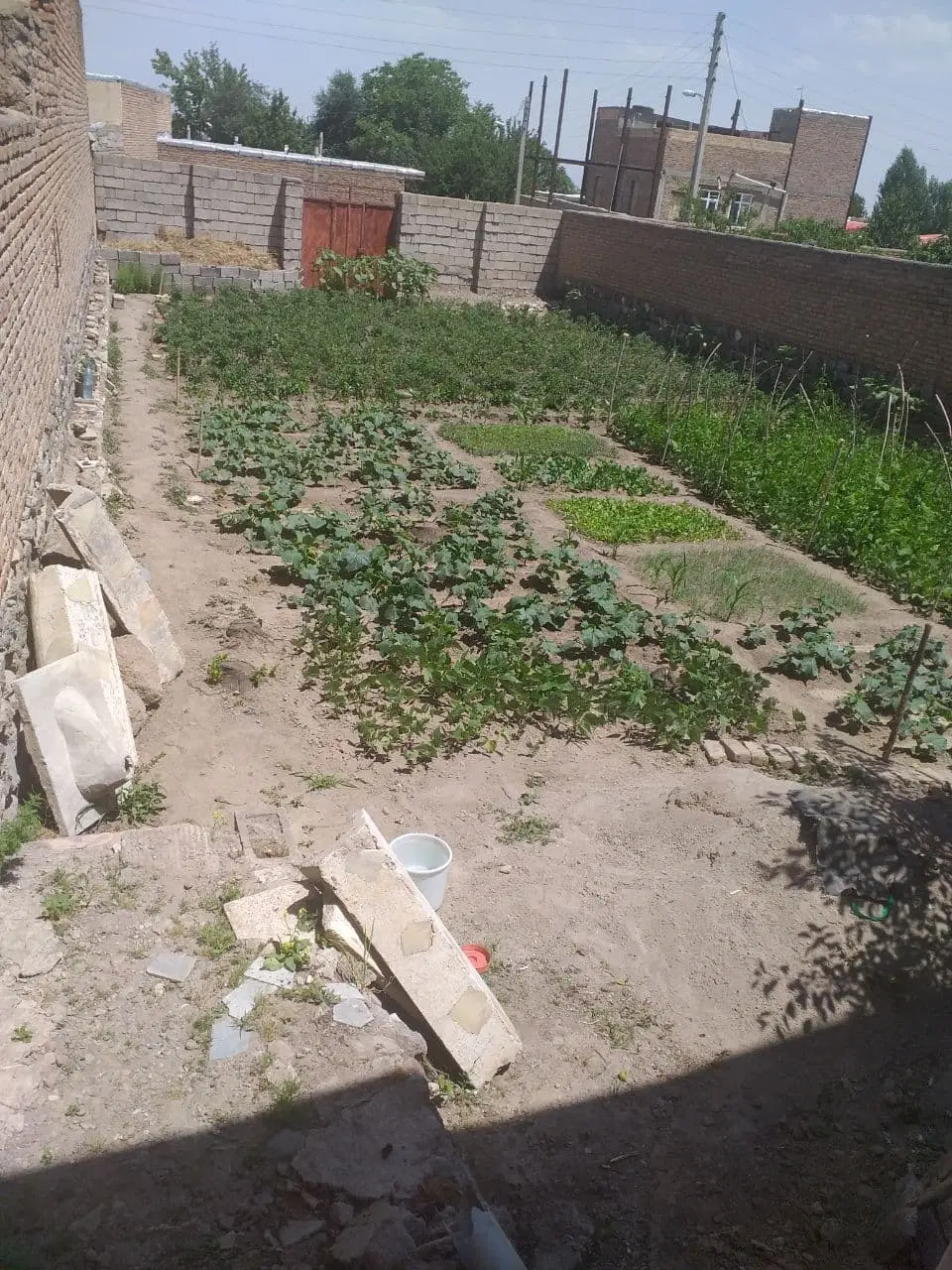 290متر