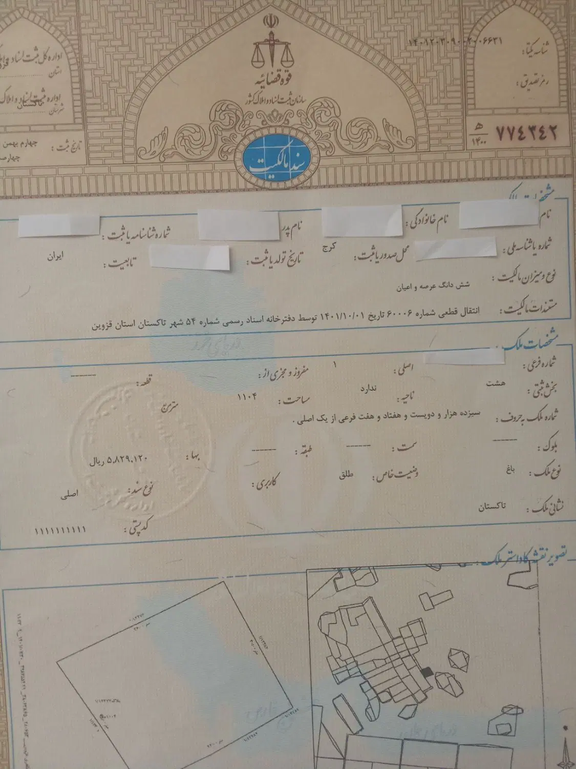 زمین سند تک برگ