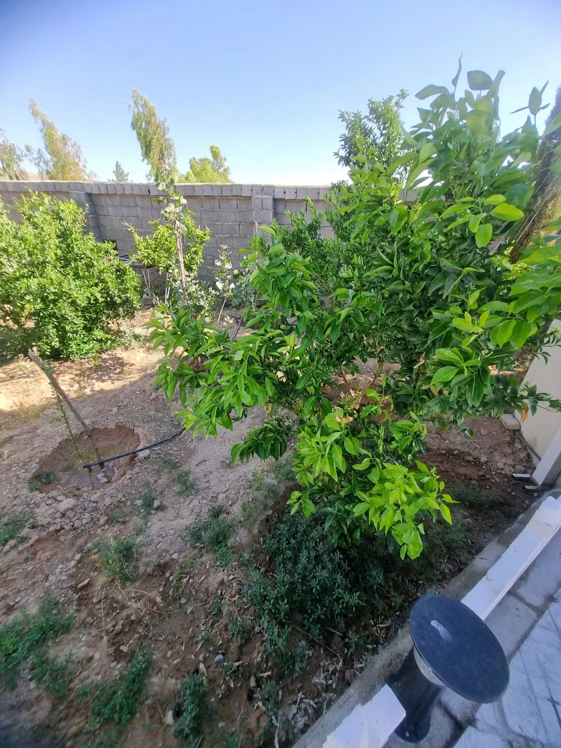 باغشهری بردج