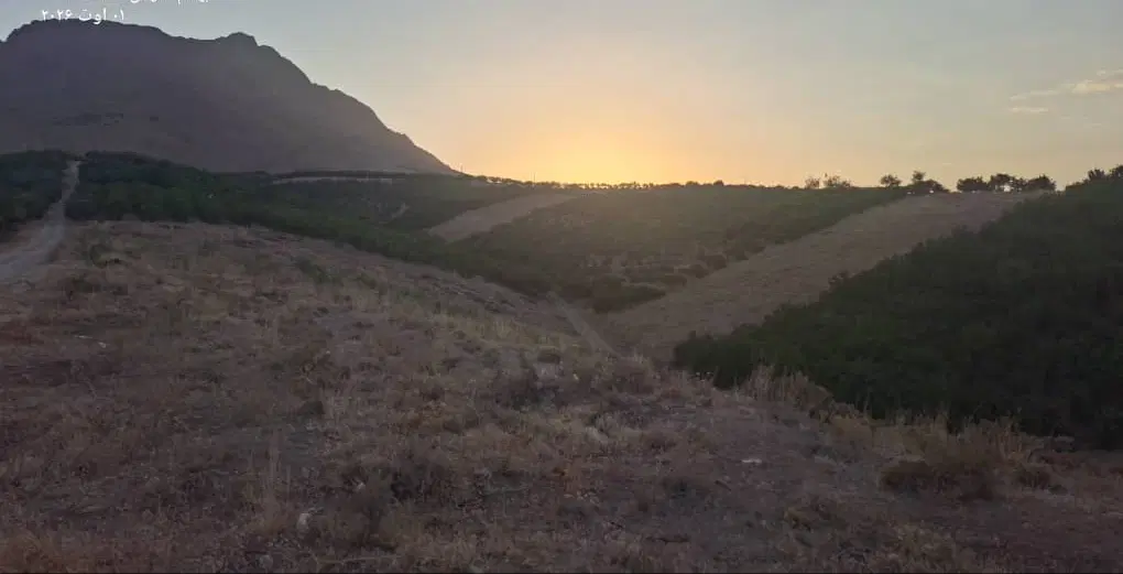 فروش طرح عمان