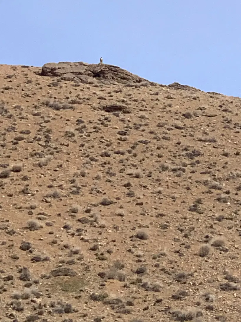 زمین زراعی و باغی سوسن اباد