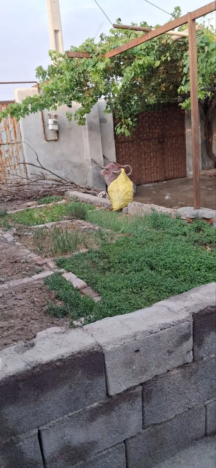 ۲۱۰ متر کنگاور _ روستای کندیکله