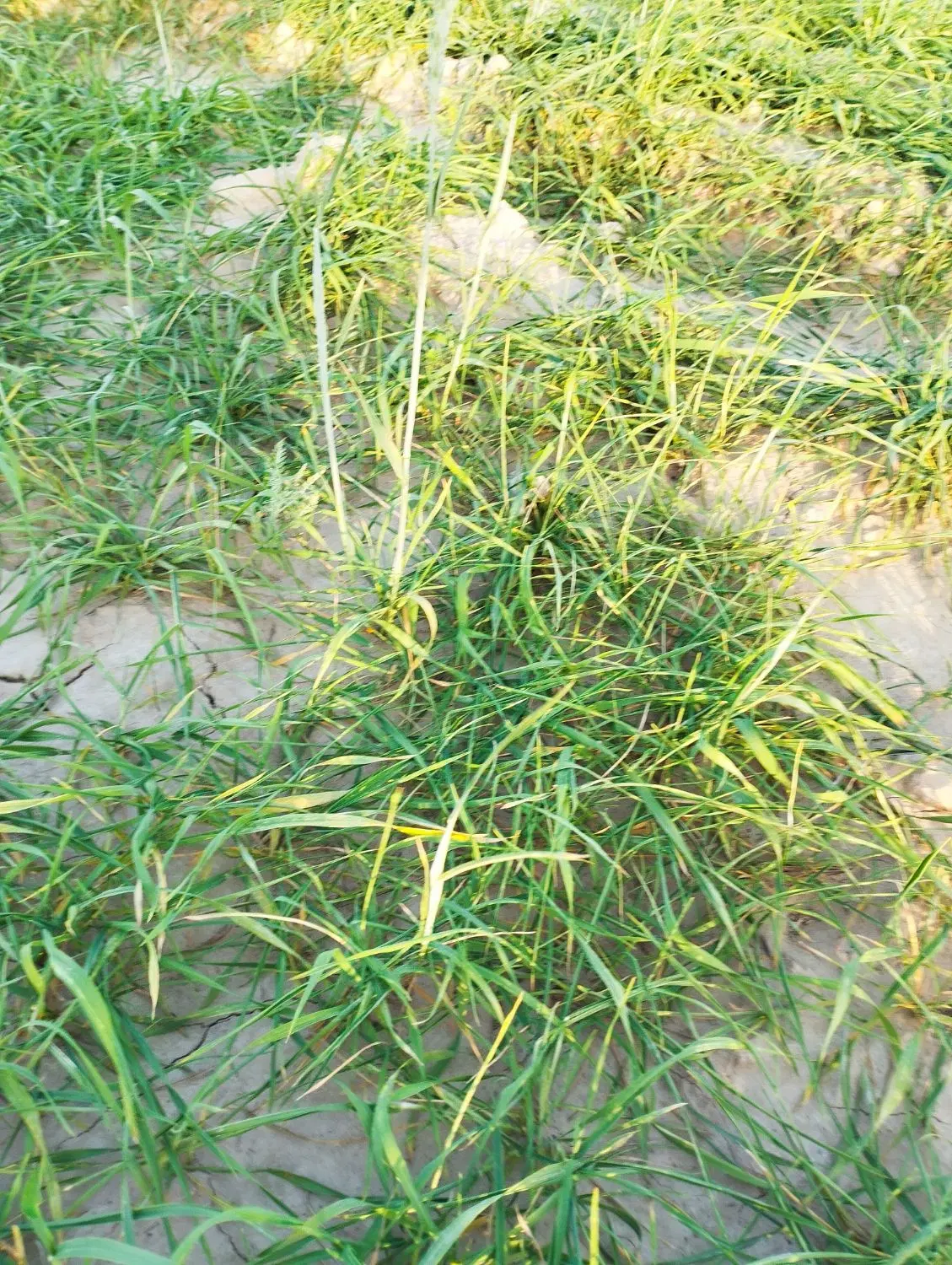 حدود۲۴اب و۱۰هکتارزمین