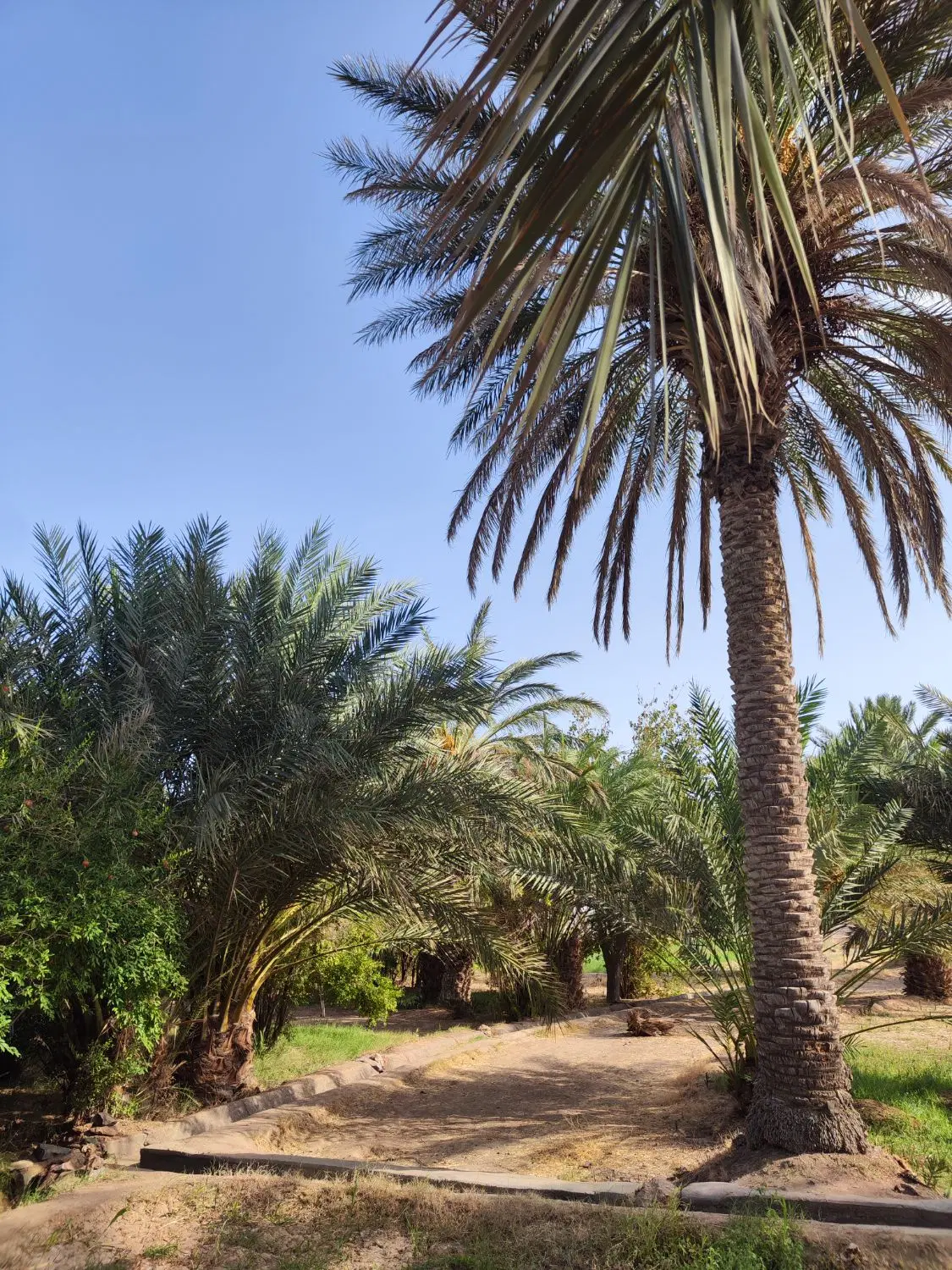 منزل ویلایی