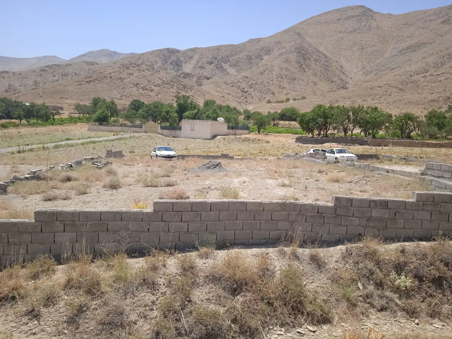 زمین زراعی نظم آباد