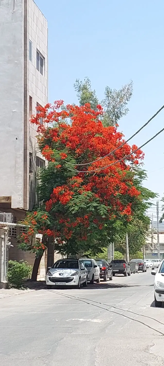 معاوضه منزل بوشهر با برازجان