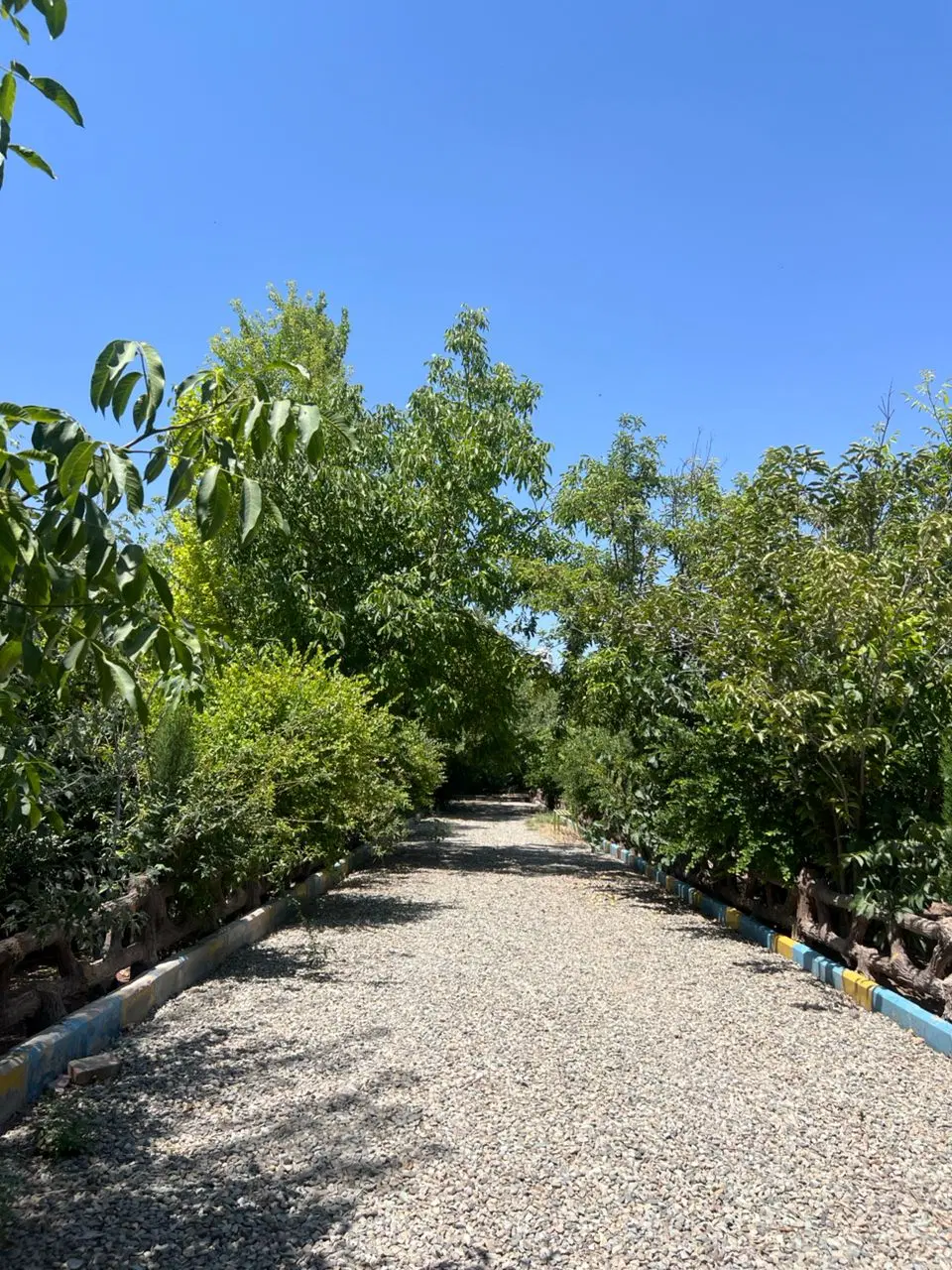 باغچه چهاردیواری