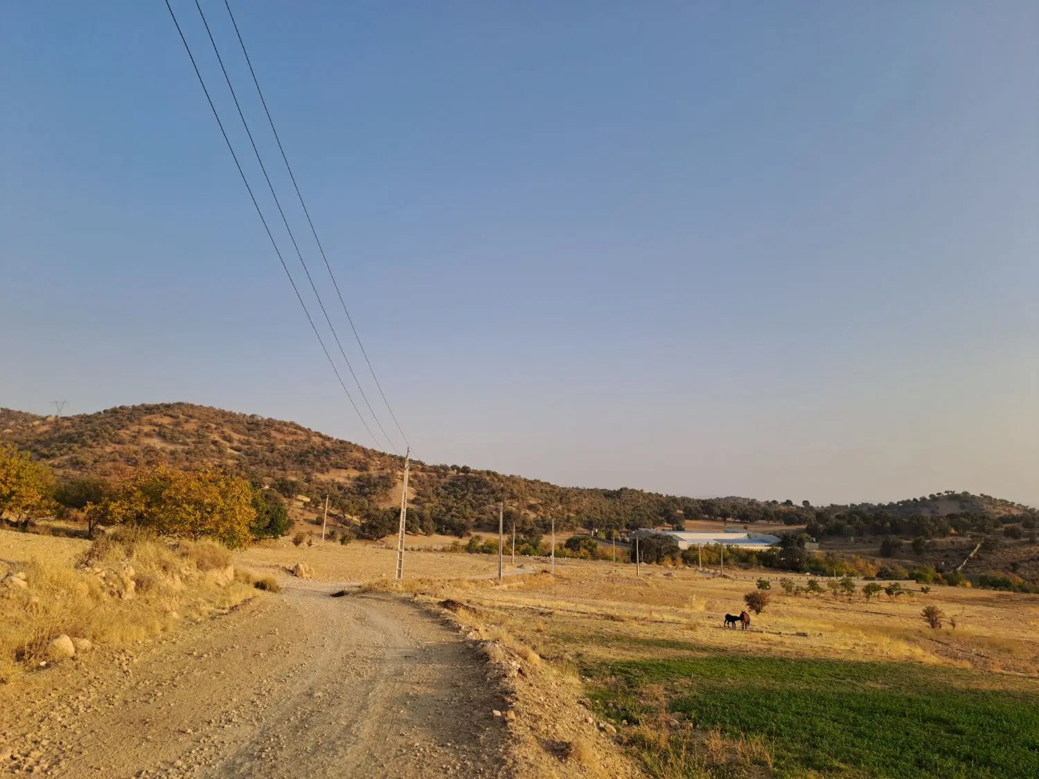 فروش زمین مناسب خونه باغ
