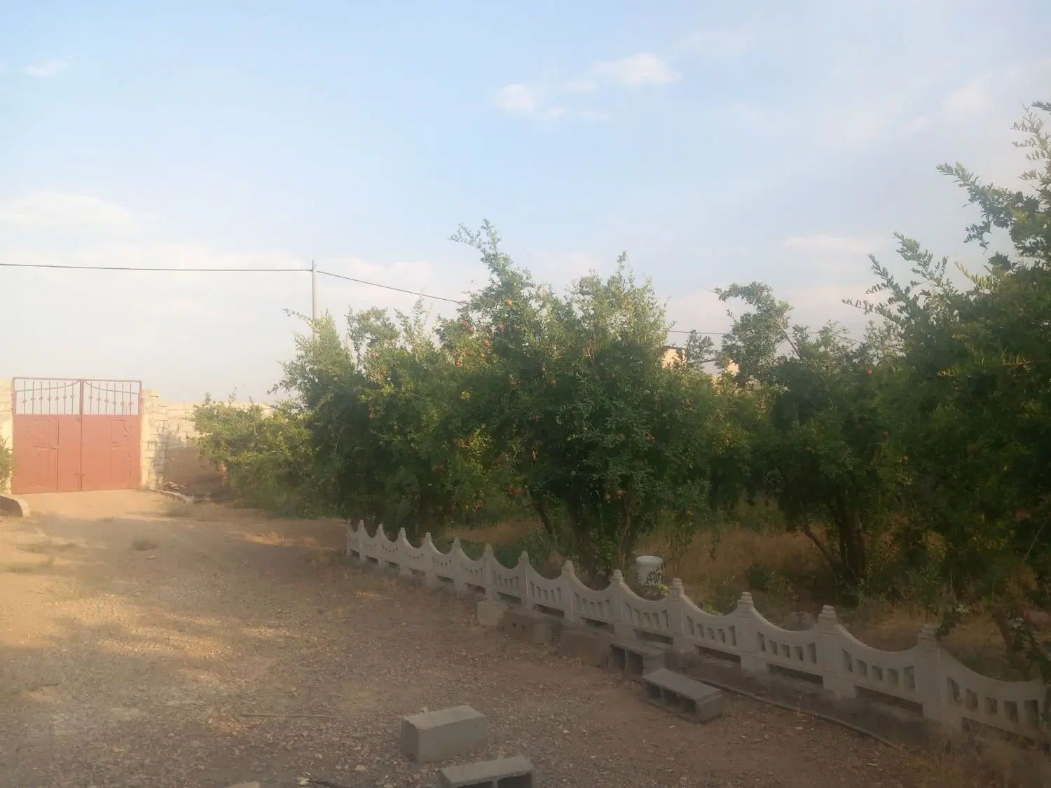 باغ ۴ دیواری جلال آباد