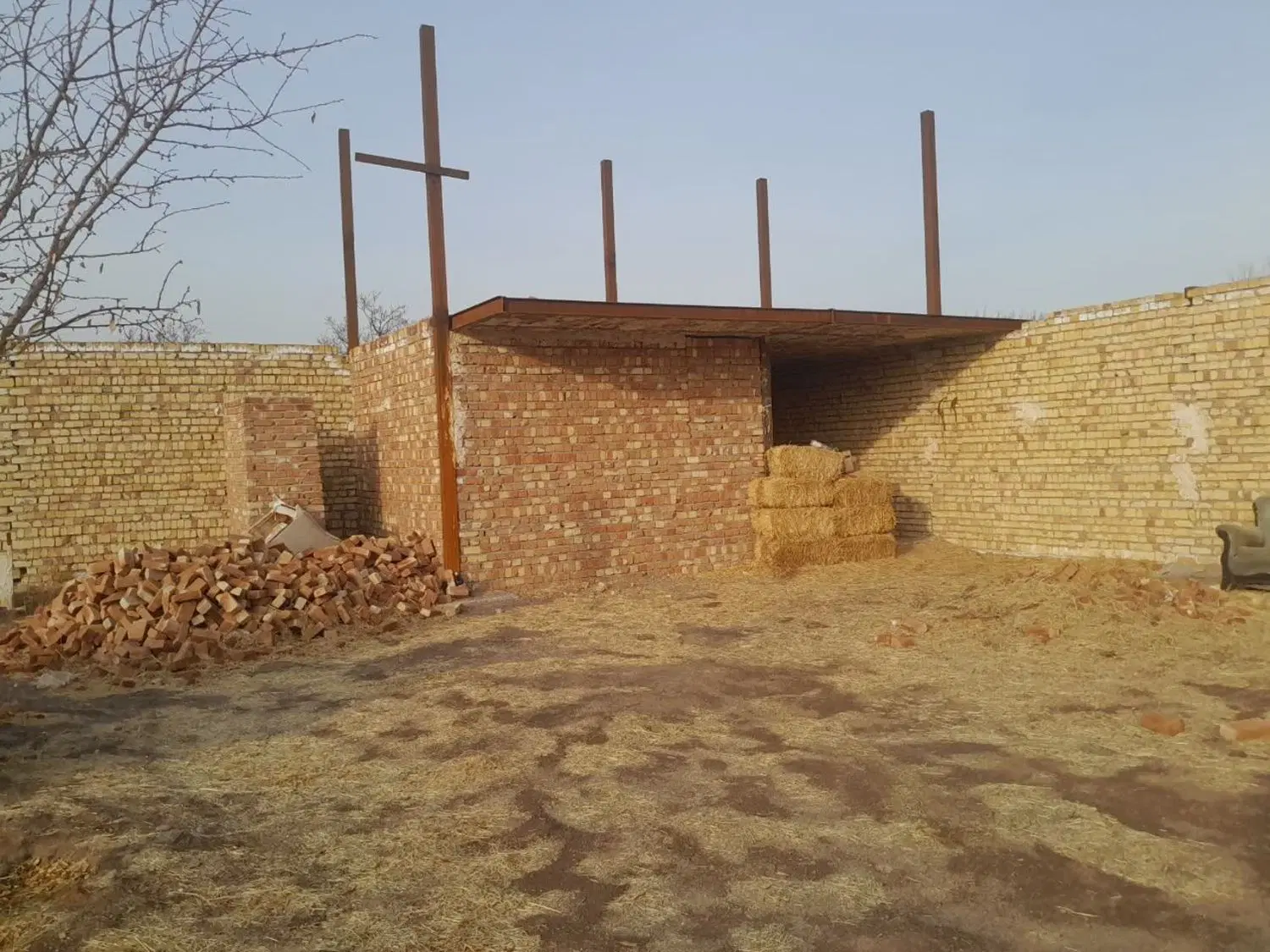 دامداری دریحیی آباد