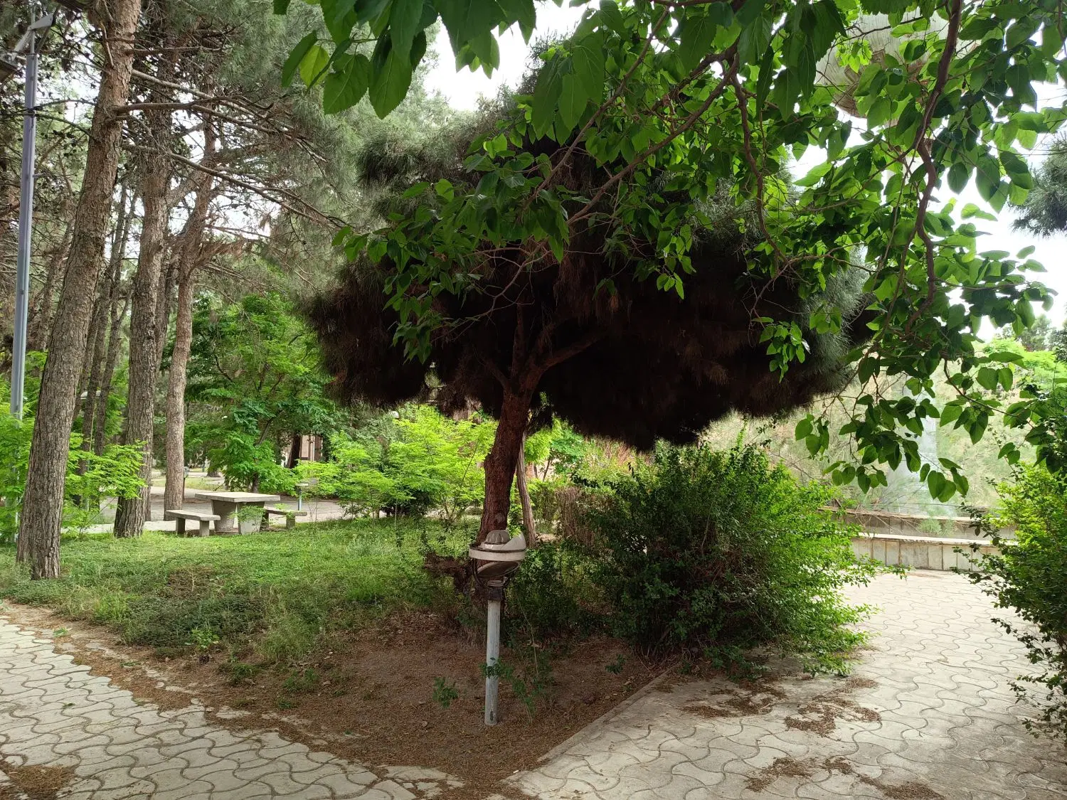 ویلایی130متری بیست متری امام خمینی