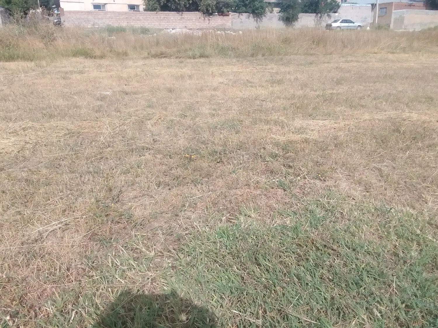 فروش زمین خلخال  جنب کوچه  خرمشهر
