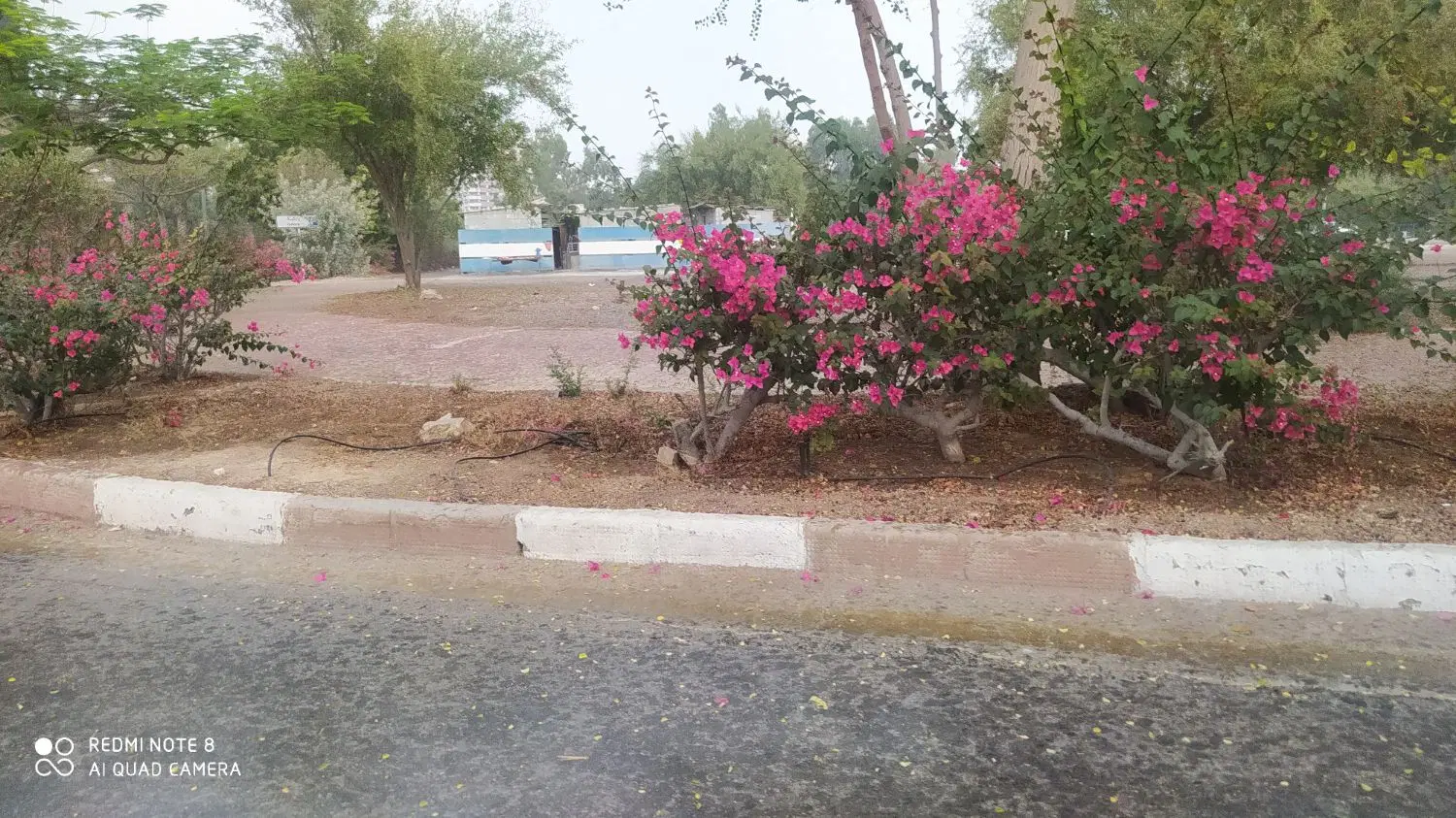 رهن خانه یک خواب