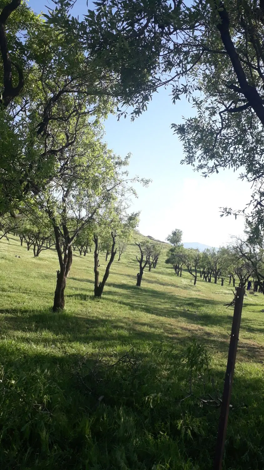 یک قطعه زمین مسکونی واقع در شهرک سامان ‌‌سنجر اباد