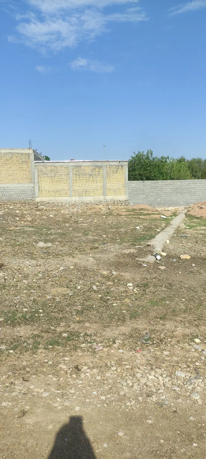 زمین شهیون
