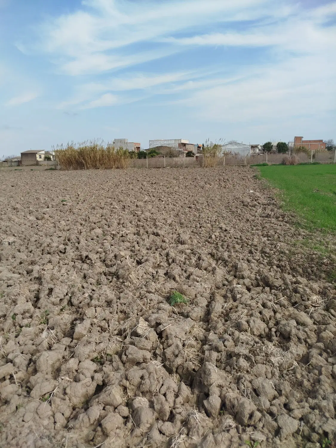 زمین باغی شیک سند هم دارد