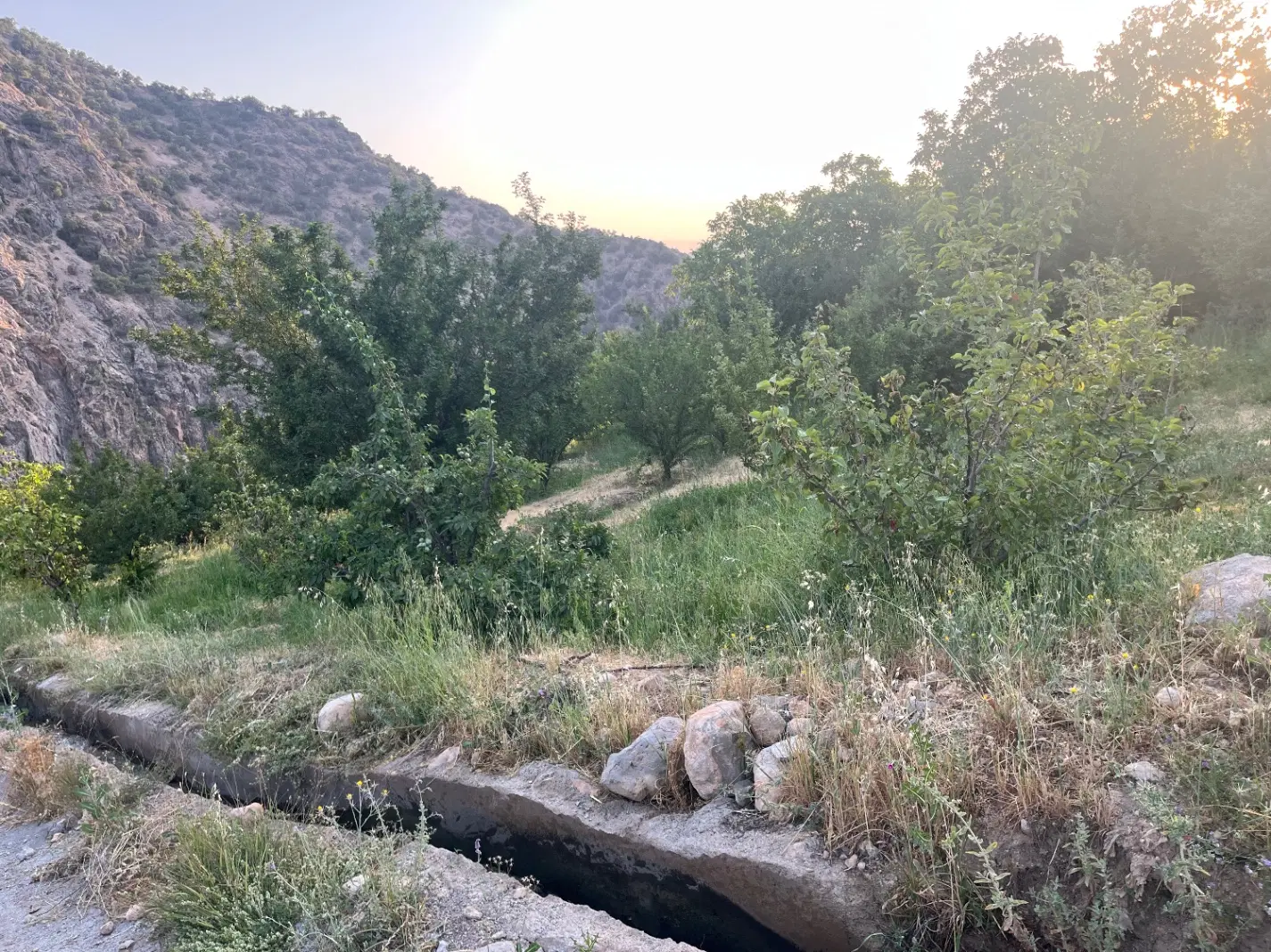 فروش باغ سی سخت روستای کوخدان