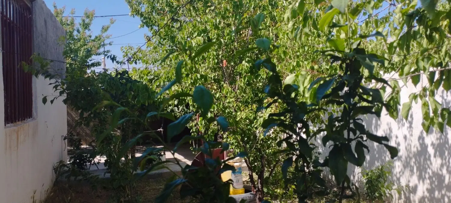 فروش ساختمان مسکونی  در فضایی امن و آرام
