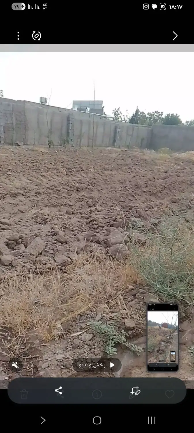 باغ چهار دیواری