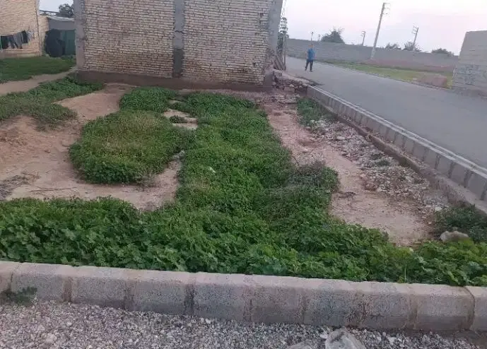 زمین دونبش آینده دارنقلی