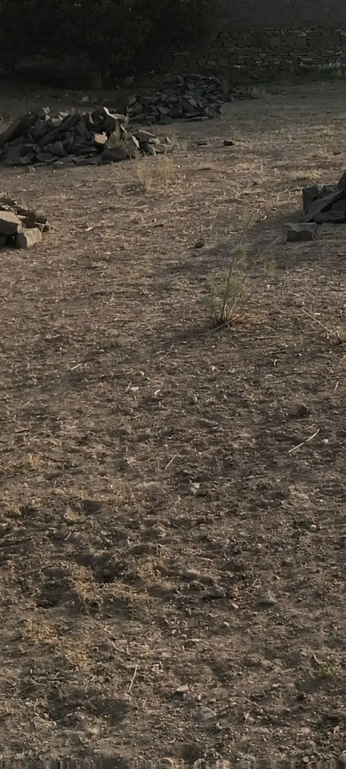 زمین در روستای میم قیمت توافقی