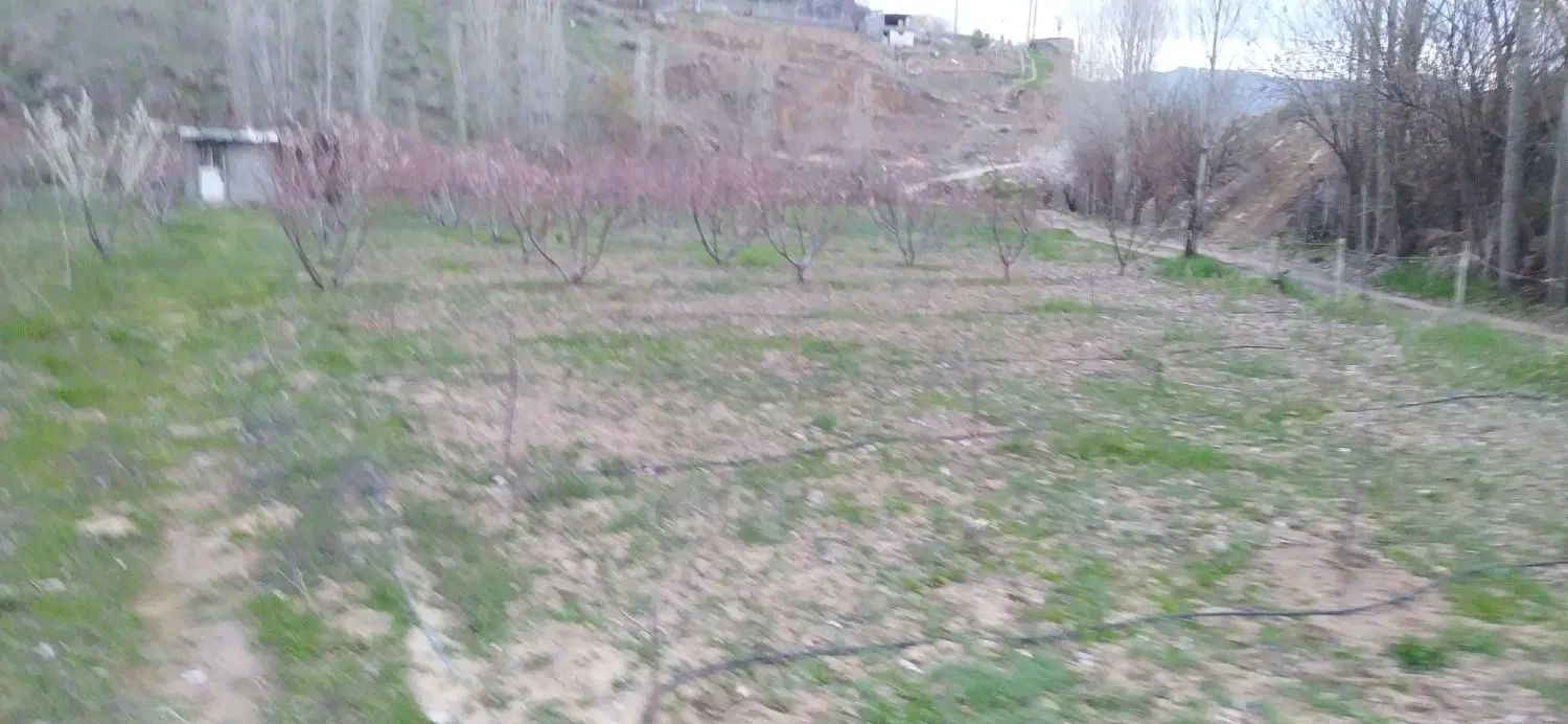 (باغ)زمین کشاورزی