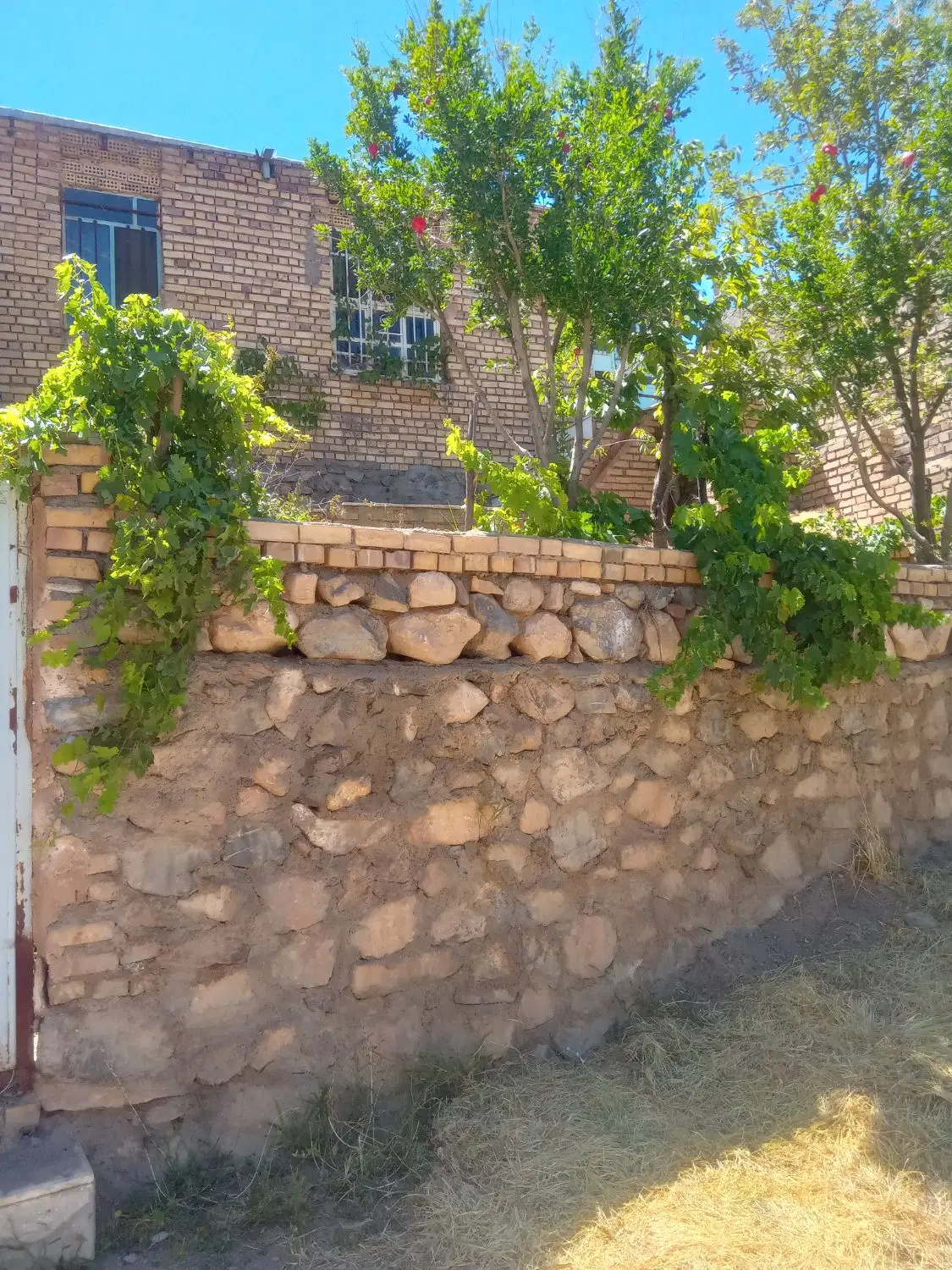 خانه باغ