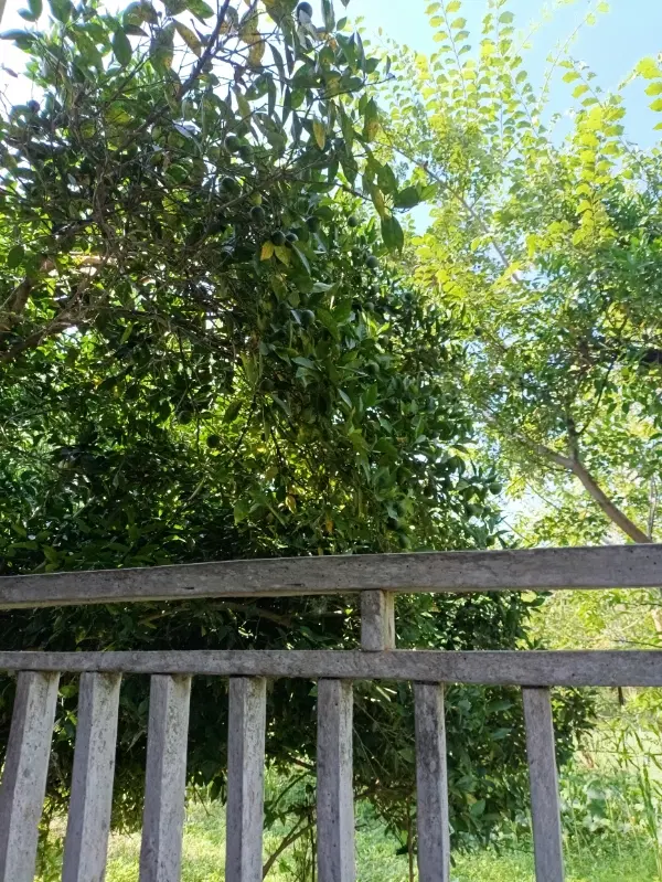 خونه ی ویلایی قدیمی نوستالژی در گیلان