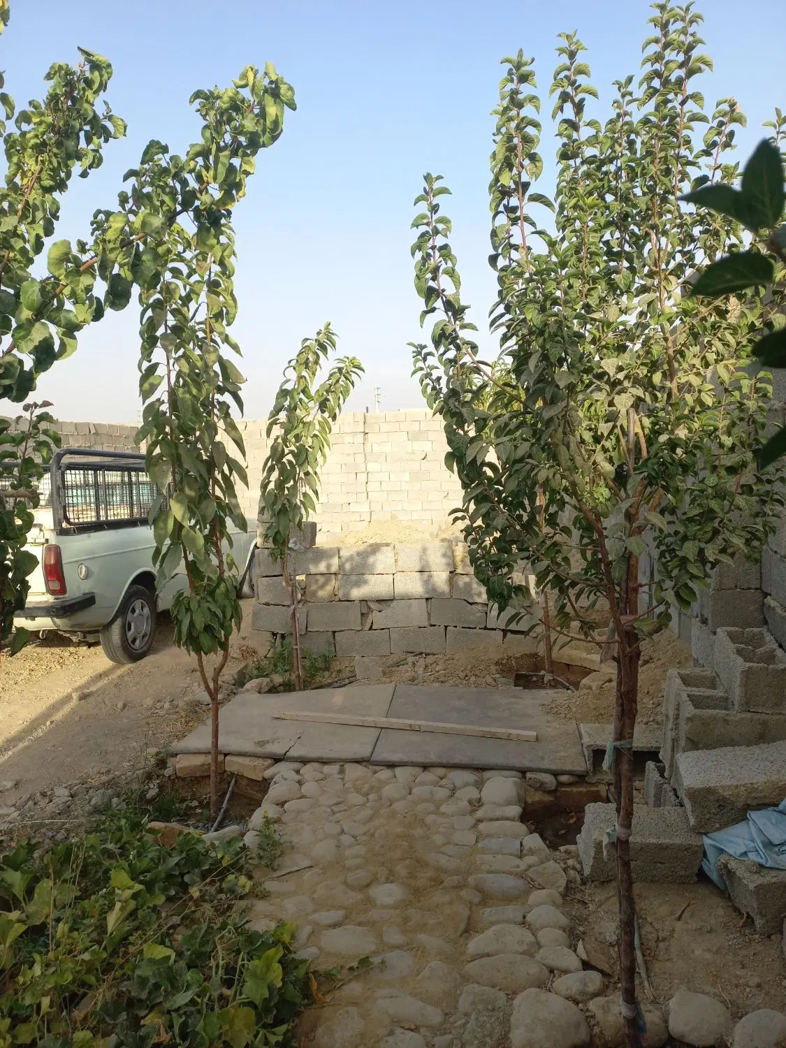 باغچه ۱۵۰ متر