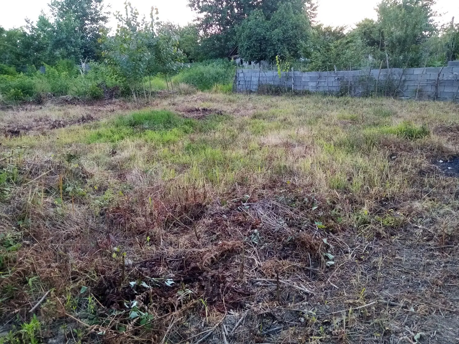 زمین مسکونی متراژ 250