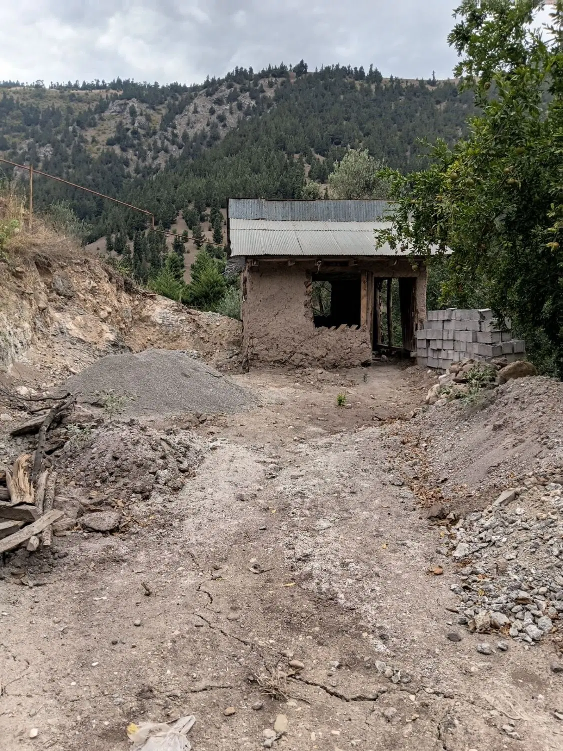 زمین همراه خانه روستایی در گیلان
