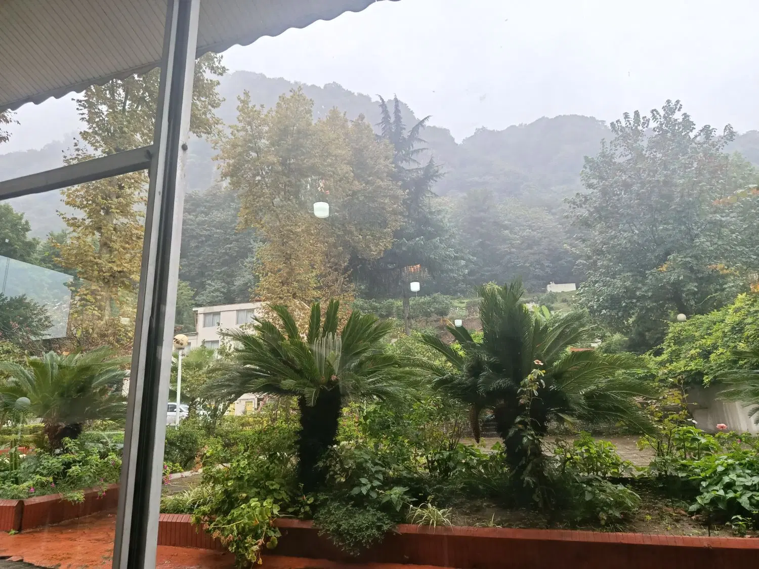 فروش زمین دیلم ارکان