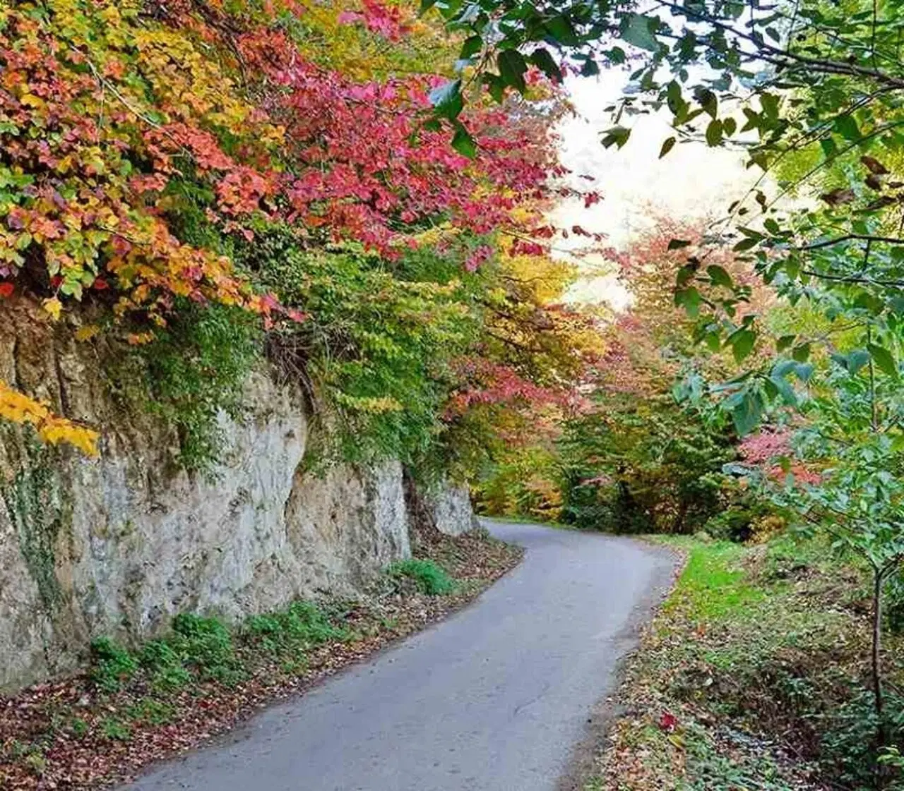 زمین ییلاقی مسکونی ۲۵۰ متر