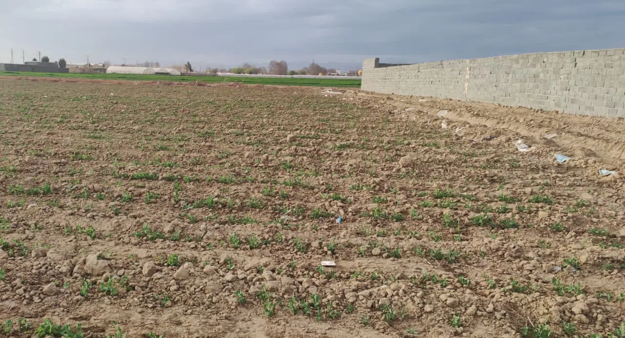 ۲۰۰۰متر زمین کشاورزی جاده فیلستان-محموداباد