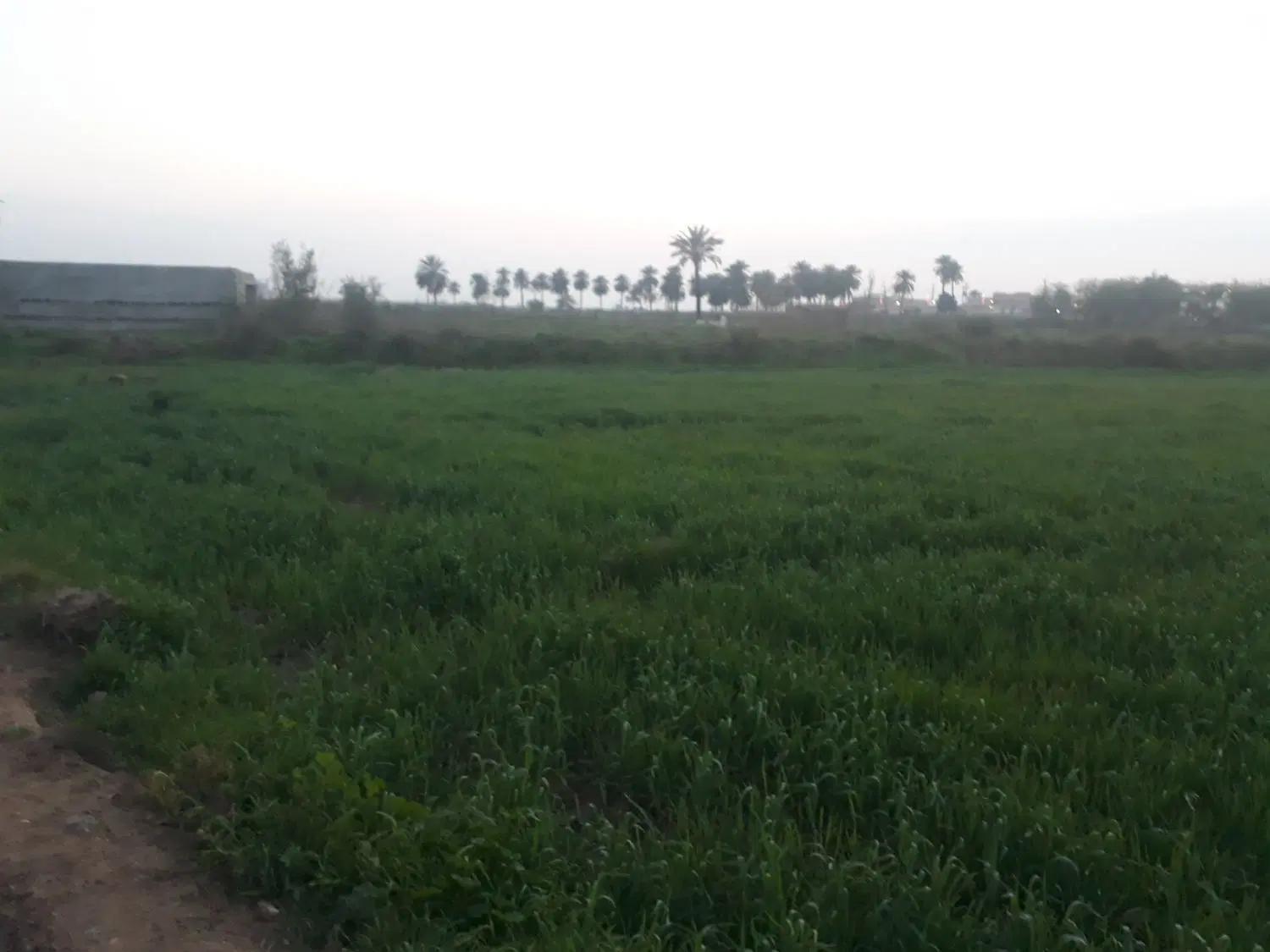 زمین کشاورزی وتجاری