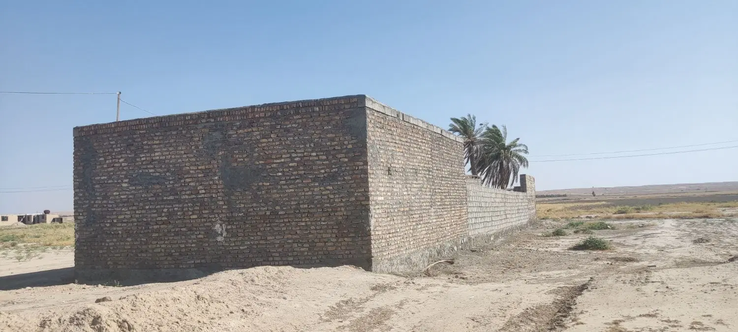 دامداری