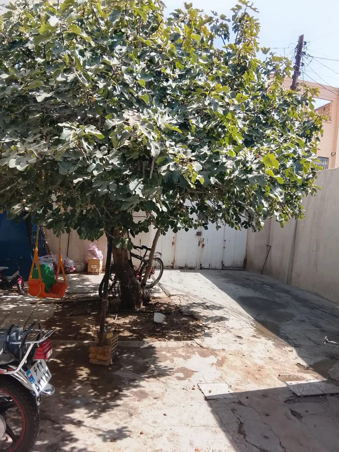 خانه قدیمی