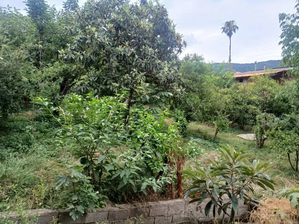 خانه باغی بسیار زیبا و مشجر فروشی