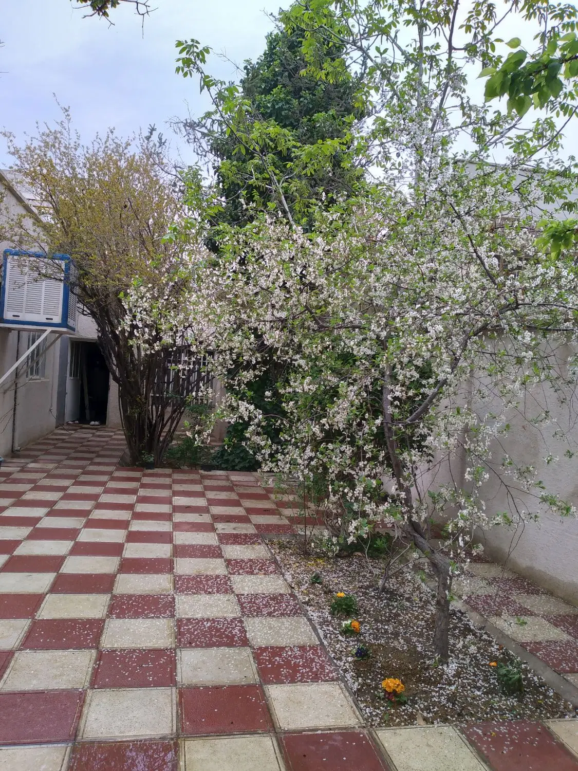 باغ ویلا ۵۰۰متر شهریار