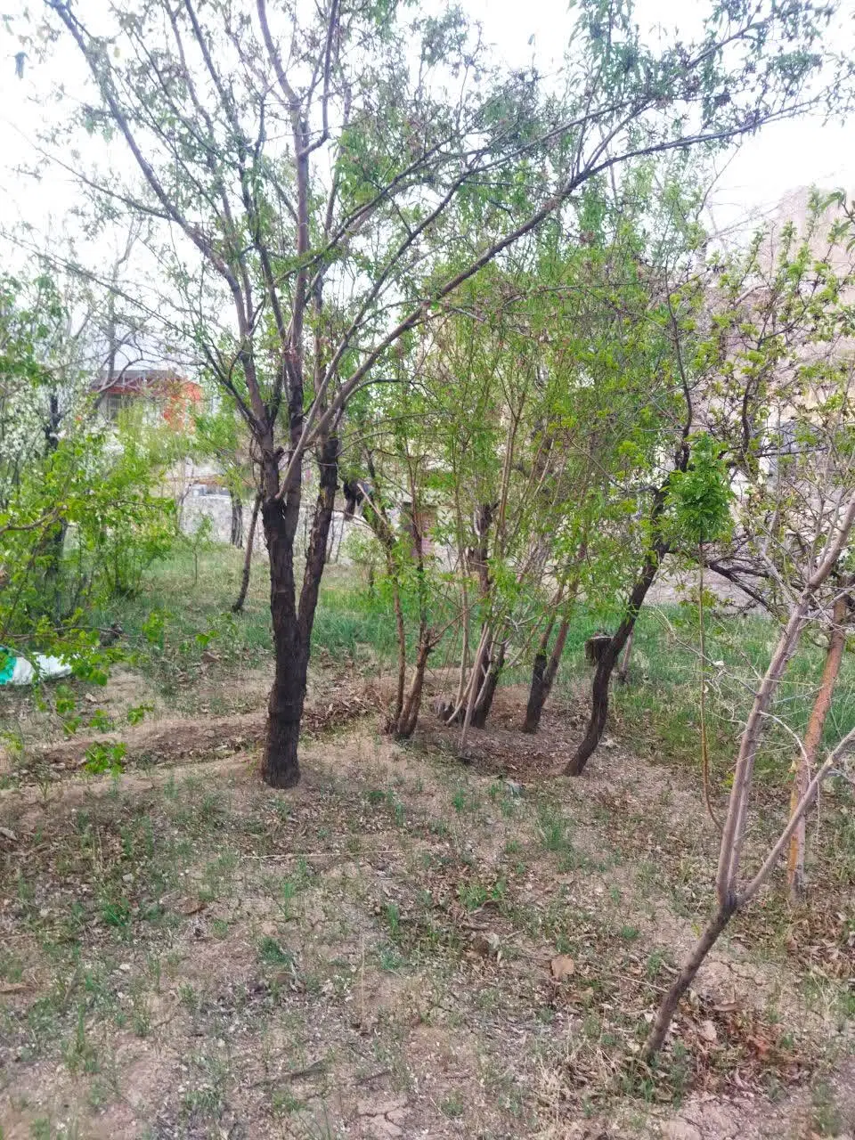 فرپش زمین در ده بالا،محله برزی منطقه ای رو به رشد