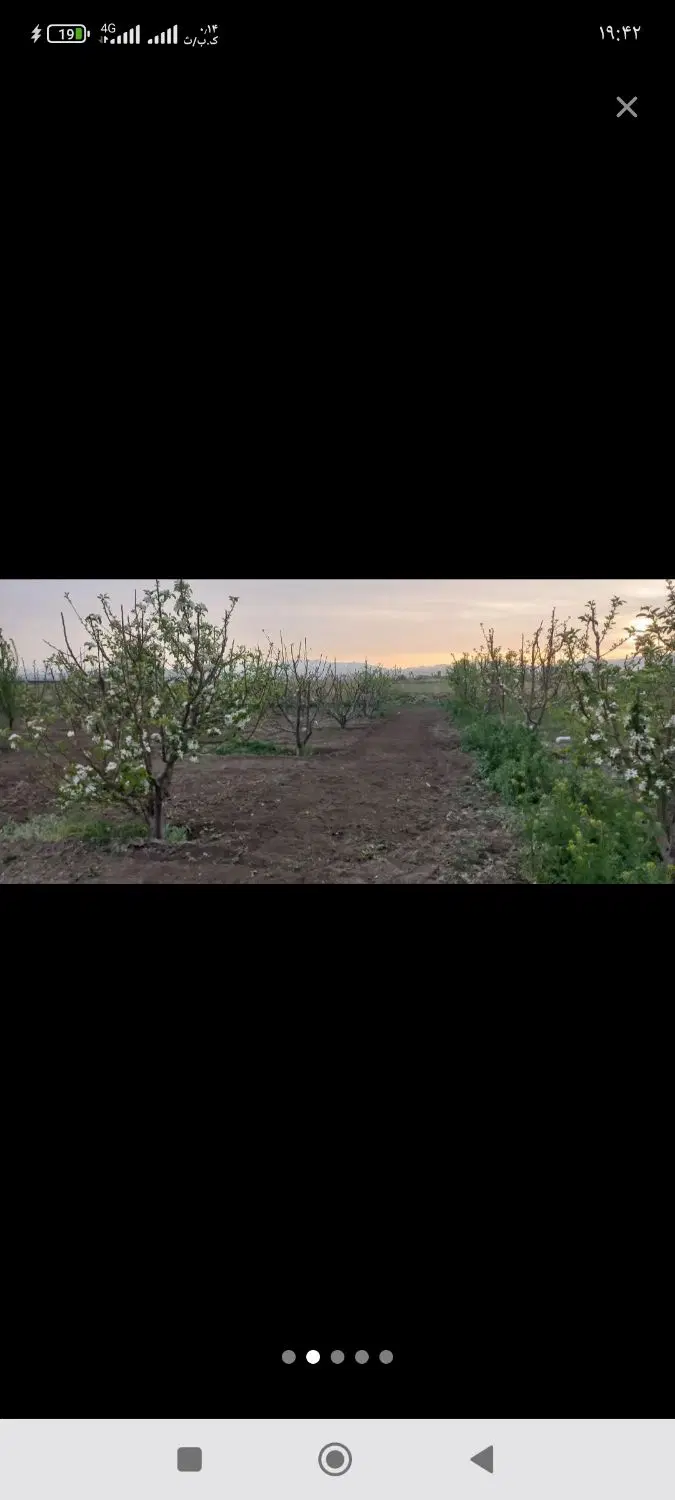 باغچه به مساحت 1000متری الوان