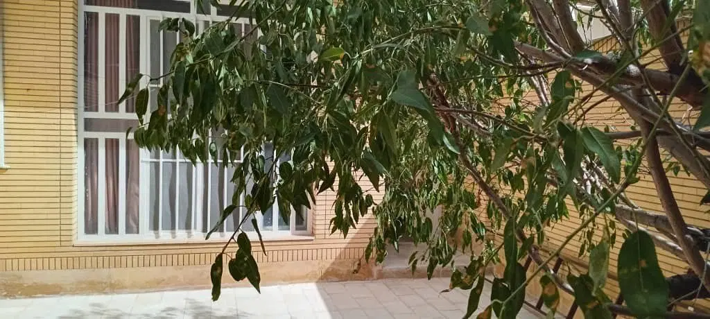 منزل مستقل نوسازی شده