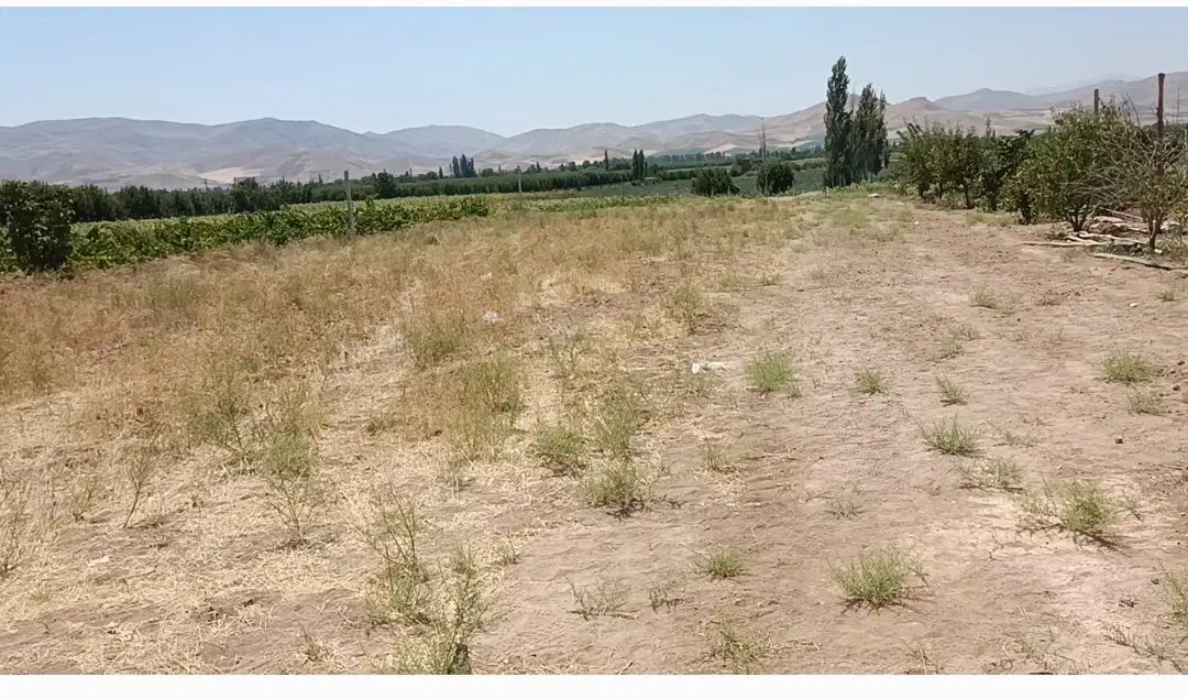زمین کشاورزی