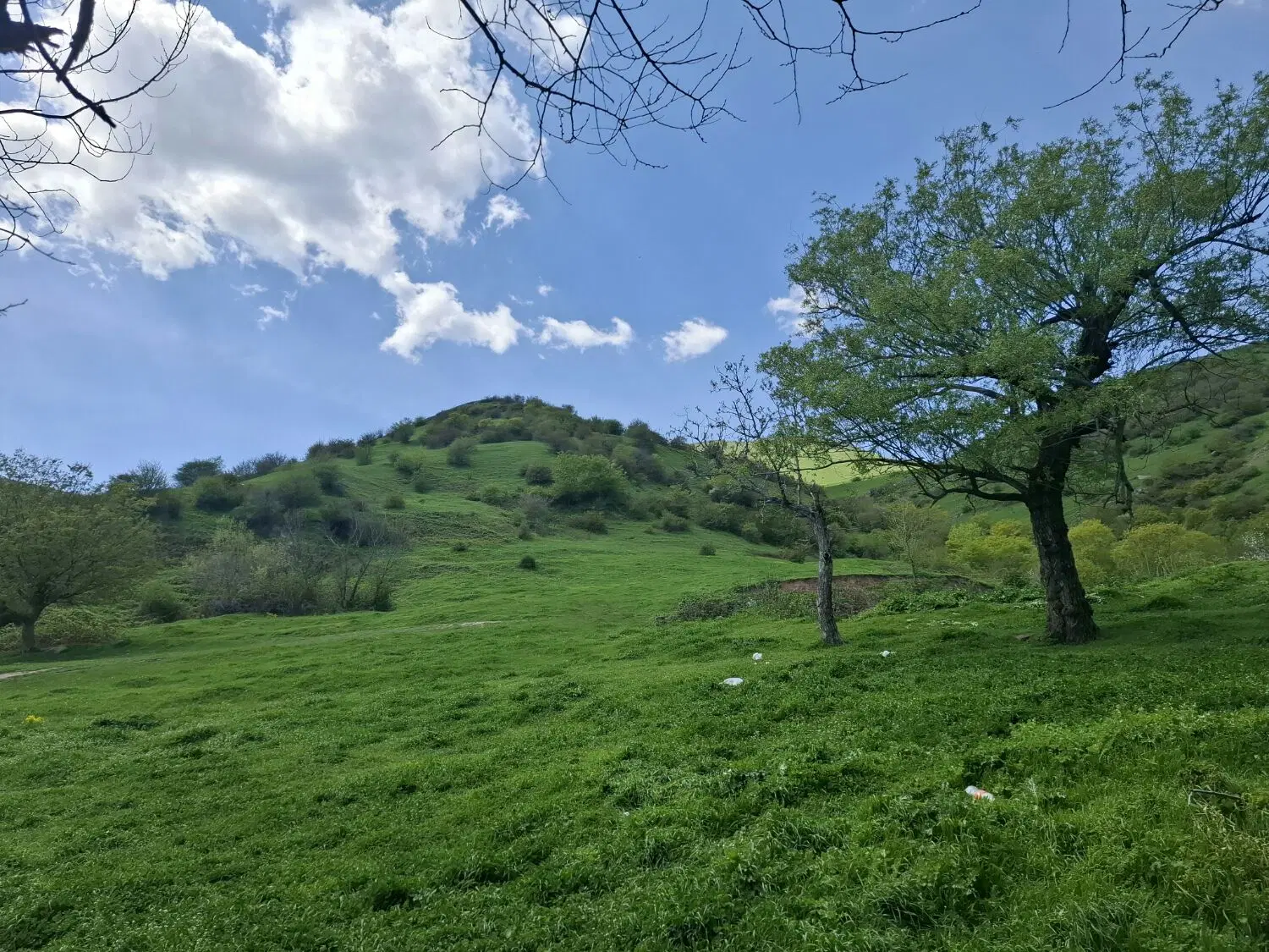 زمین مسکونی