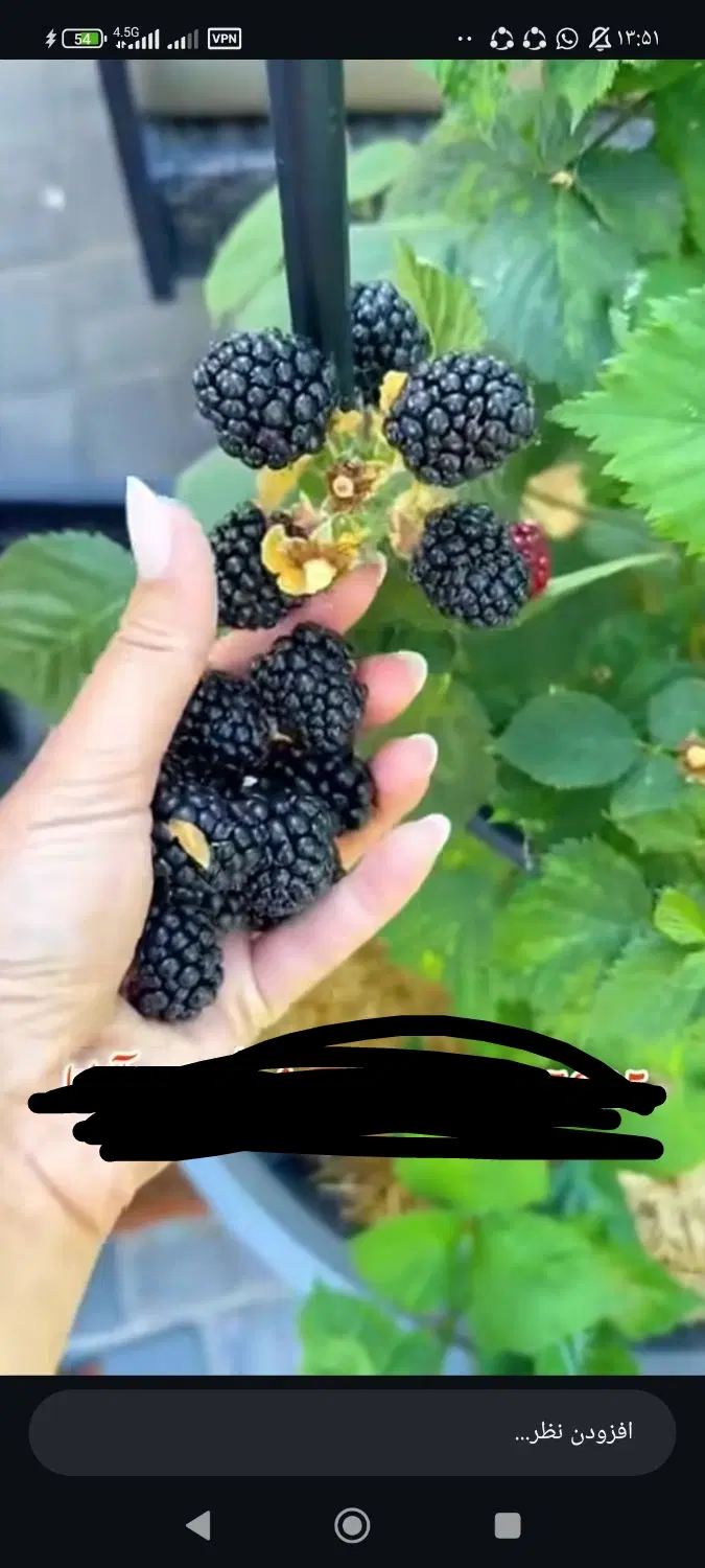 زمین خانه باغ ۲هزارمتر فول امکانات