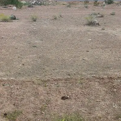 زمین قسمت چهارم