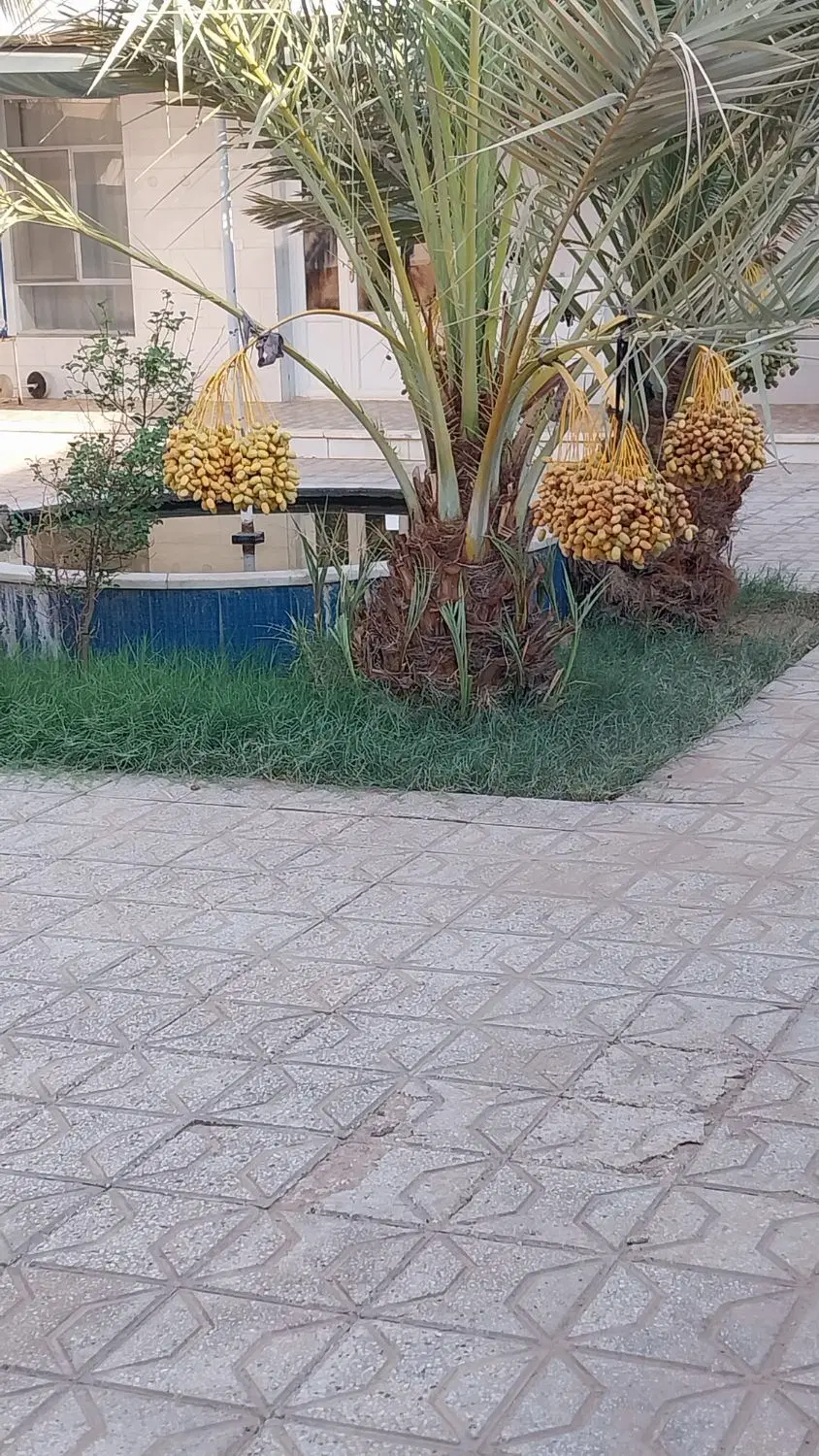 منزل اجاره ای روزانه